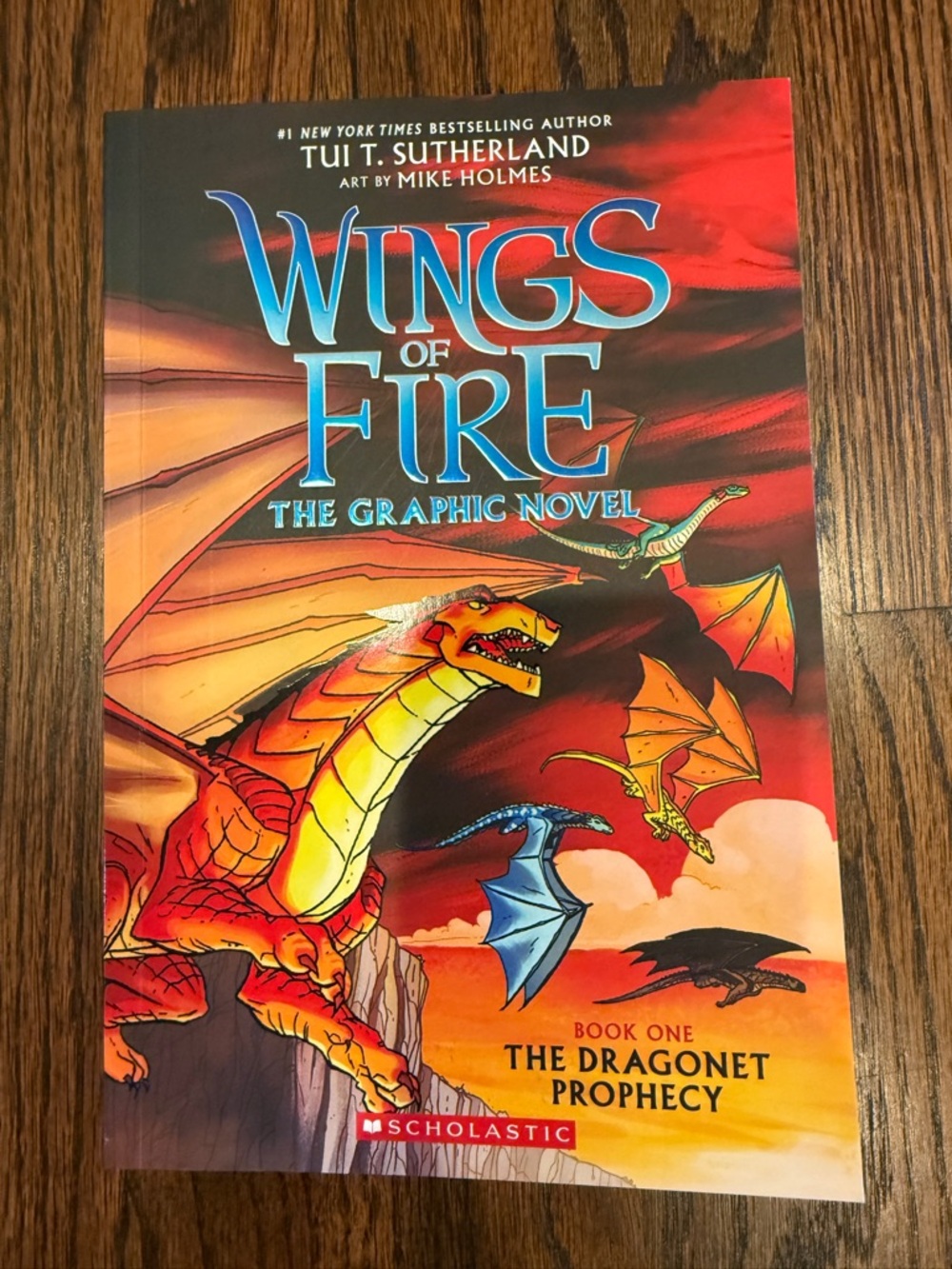 Scholastic Wings of Fire Graphic Novel book one of the Dragonet Prophecy dragon
